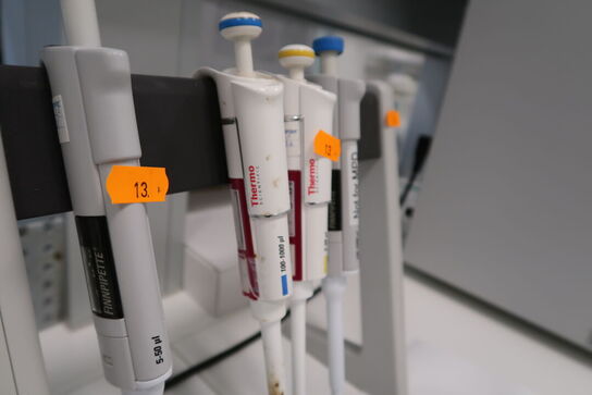 Stativ med 4 stk. pipetter THERMO SCIENTIFIC