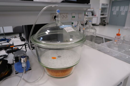 Vakuumpumpe ROCKER 300 med vakuumkammer