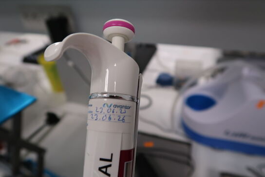 Stativ med 6 stk. pipetter THERMO SCIENTIFIC