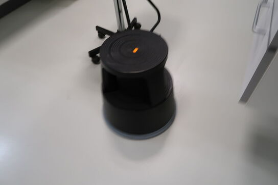 Elefandtfod samt arbejdsstol