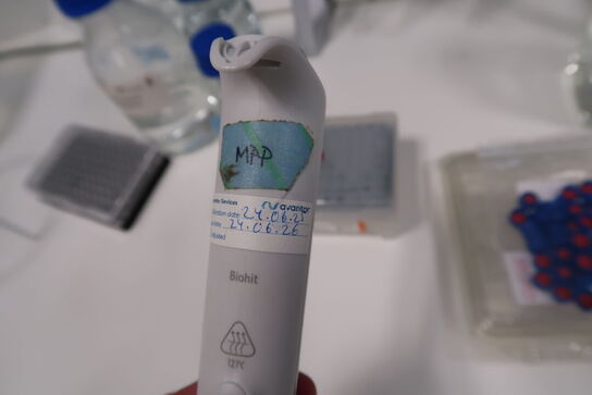 Stativ med 5 stk. pipetter THERMO SCIENTIFIC, SARTORIUS