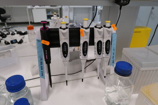 Stativ med 5 stk. pipetter THERMO SCIENTIFIC, SARTORIUS