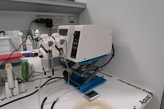 Slangepumpe LONGERPUMP WT600-1F-A