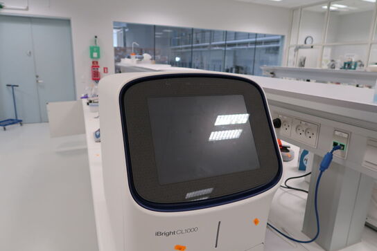 Imaging system INVITROGEN IBRIGHT CL1000
