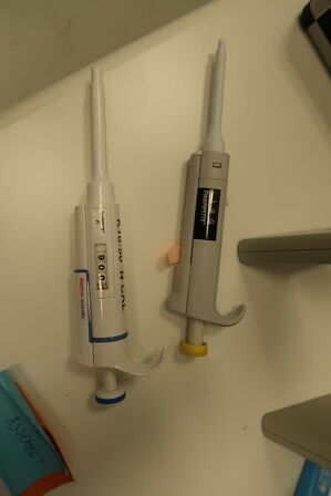 Stativ med 2 stk. pipetter THERMO SCIENTIFIC
