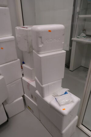 Div. Flamingokasser samt 2 stk. reoler med div. Varelager og tilbehør