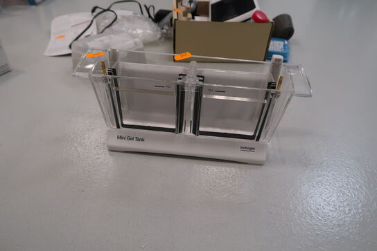 Kammer INVITROGEN Mini Gel Tank