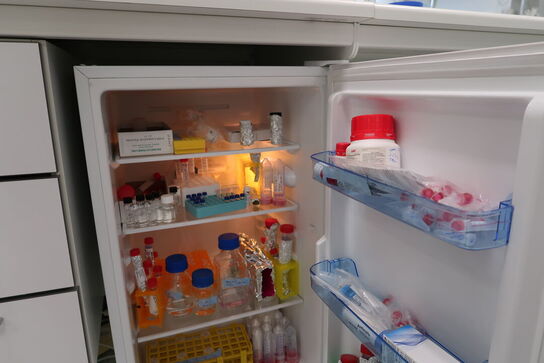 Køleskab SCANDOMESTIC uden indhold