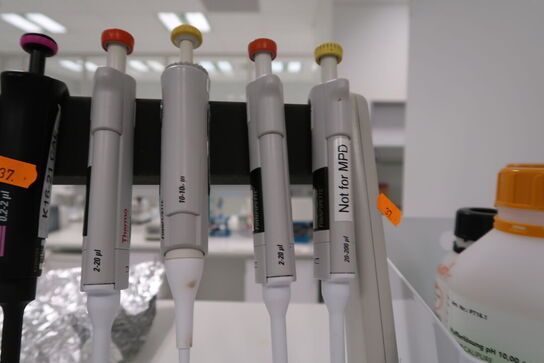 Stativ med 6 stk. pipetter THERMO SCIENTIFIC