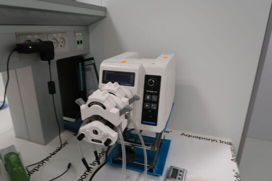 Slangepumpe LONGERPUMP WT600-1F-A