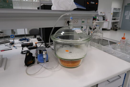 Vakuumpumpe ROCKER 300 med vakuumkammer