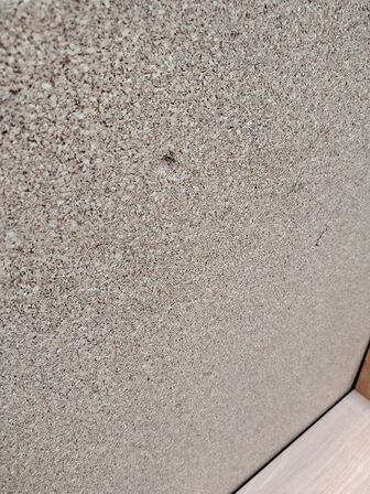 Spisebord med kork bordplade 