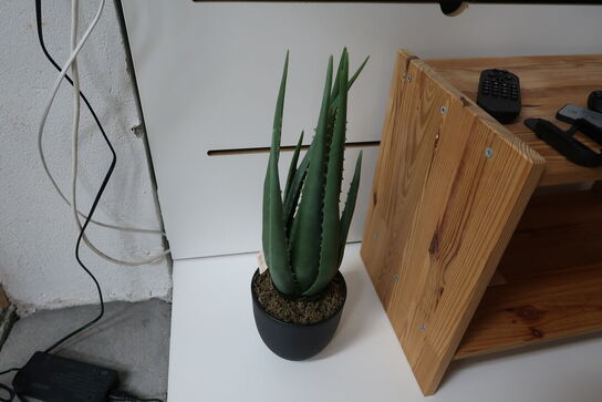 Sidebord uden indhold samt kunstig plante