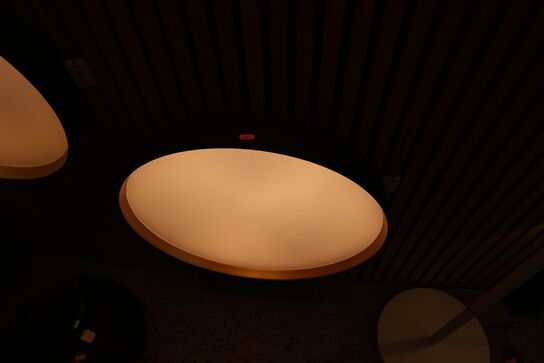 Plafond LOOM Lucia Ø60 Sort/Guld