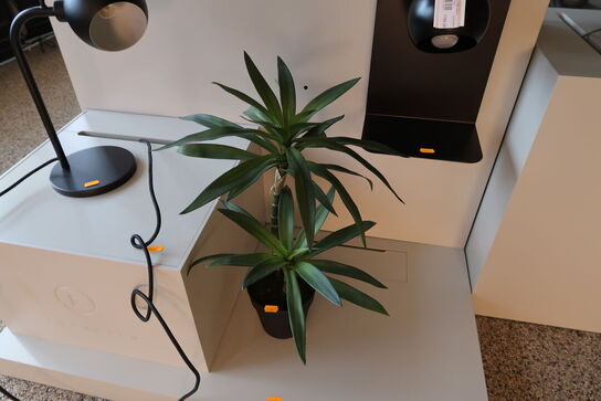 Kunstig Plante i krukke