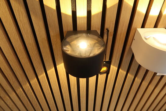 Udendørslampe RAY Væg Up/Down Udendørs Sort