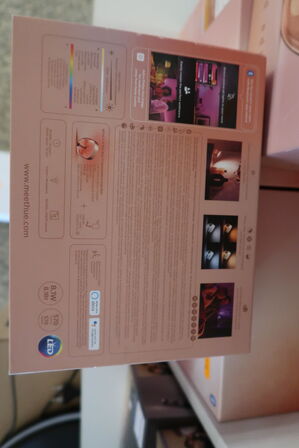Bordlampe PHILIPS HUE Iris Copper Limited Edition