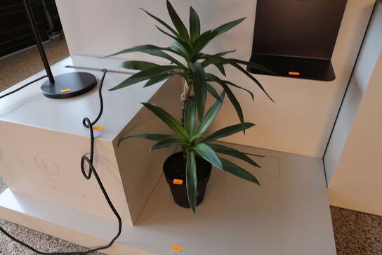 Kunstig Plante i krukke