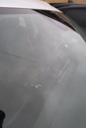 Personbil SKODA Octavia 2.0 TDI150 Combi DSG7 (UDEN AFGIFT)