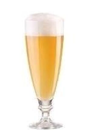 24 stk. Ølglas Harmonia 38,5 cl på fod