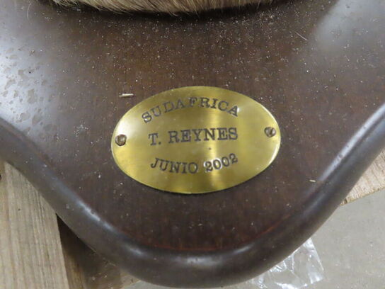 Jagttrofæ - Afrikansk Kudu