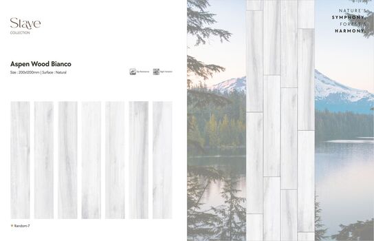 100,80 m2 - 1200*200*9 mm porcelæns fliser med trælook  (ASPEN WOOD BIANCO)