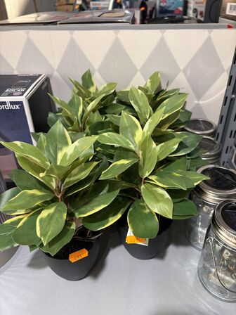 Div. Kunstige planter