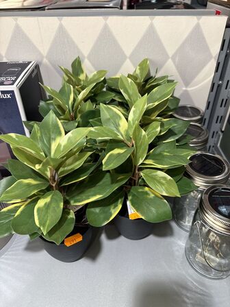 Div. Kunstige planter