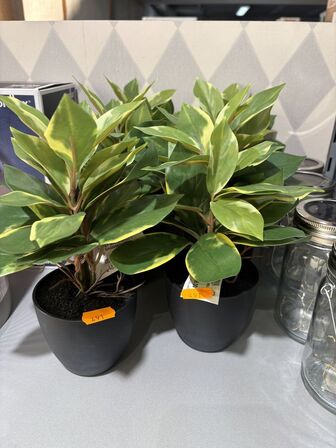 Div. Kunstige planter