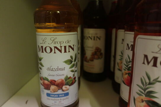 Div. Fl. Med sirup MONIN