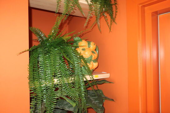 Div. Krukker og kunstige planter