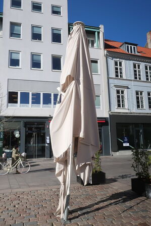 Parasol