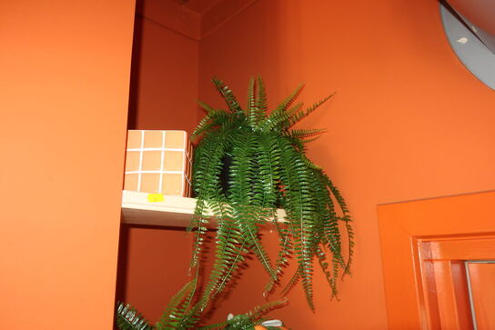 Div. Krukker og kunstige planter