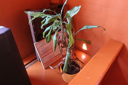 2 stk. kunstige planter i krukke