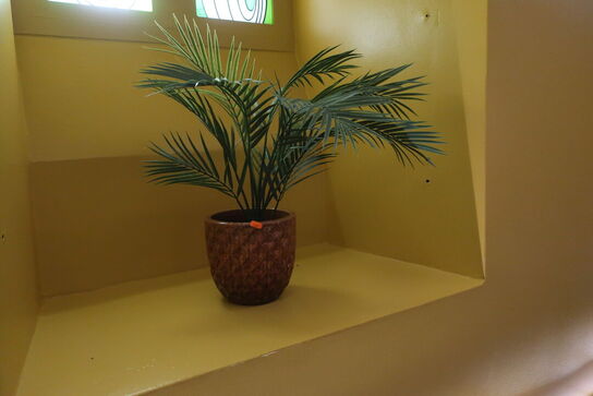 Kunstig plante i krukke, lysskilt "Please Don't Do Coke In The Bathroom"