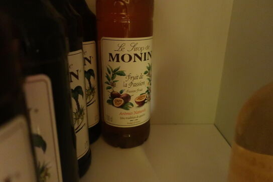 Div. Fl. Med sirup MONIN