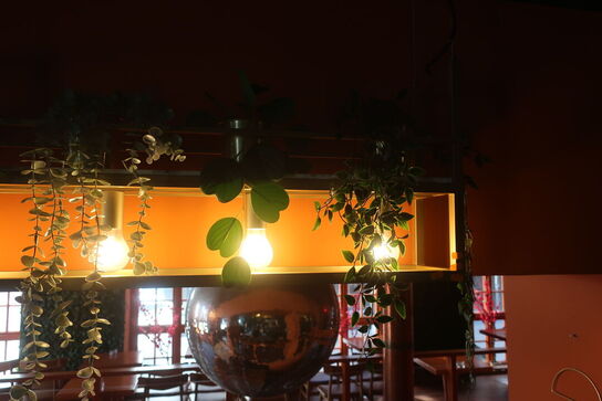 Loftslampe i indsats samt kunstige planter