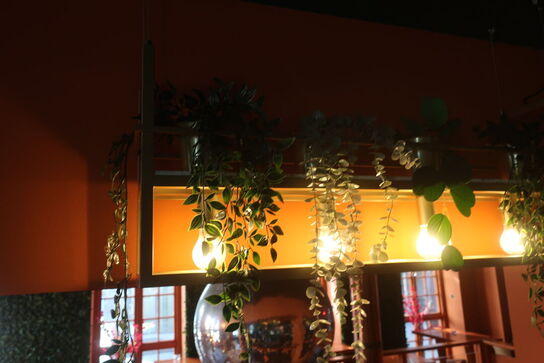 Loftslampe i indsats samt kunstige planter