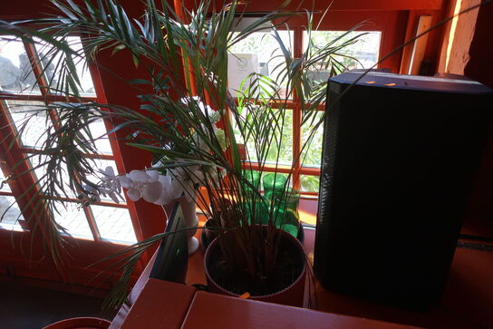 2 stk. kunstige planter i krukke