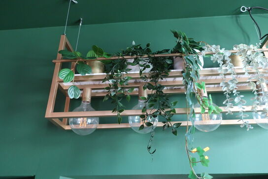 Loftslampe i indsats samt kunstige planter