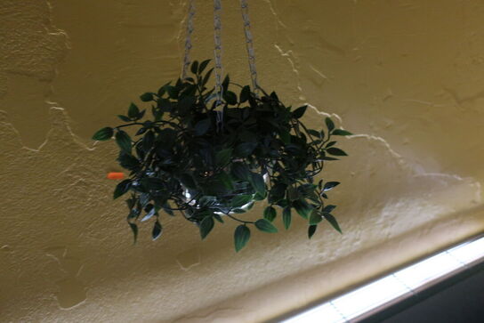 2 stk. planter i diskokugler