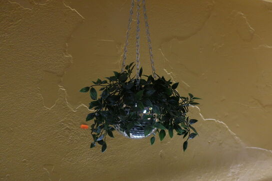 2 stk. planter i diskokugler