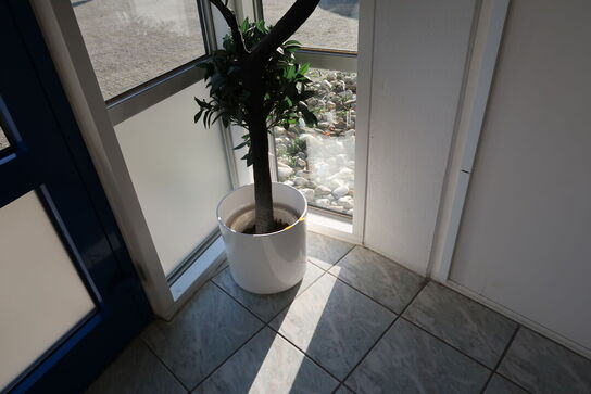 Plante i krukke (kunstig)