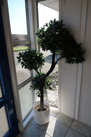 Plante i krukke (kunstig)