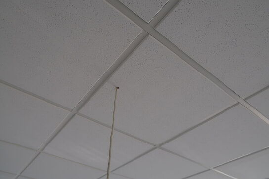 Pendel LOUIS POULSEN PH 4/3