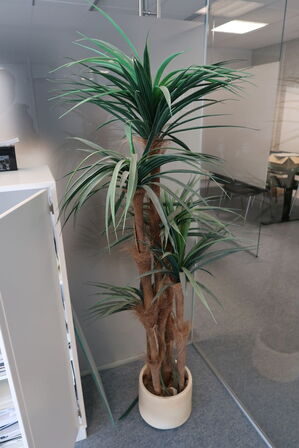 2 stk. skabe BONDO med indhold samt reol og plante