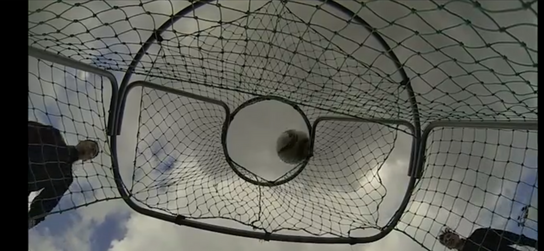 5 stk GLOBAL GOAL HOME