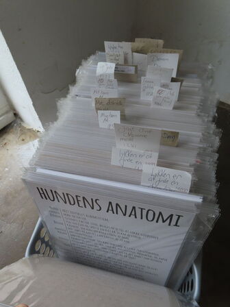 ca. 200 stk kort i (20x30cm) Forskellige billeder og tekst