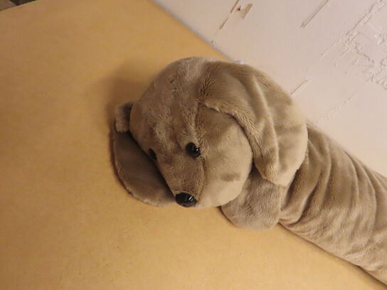 Tyngdepude HUND  NOU PETIT