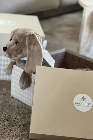 Tyngdepude HUND  NOU PETIT